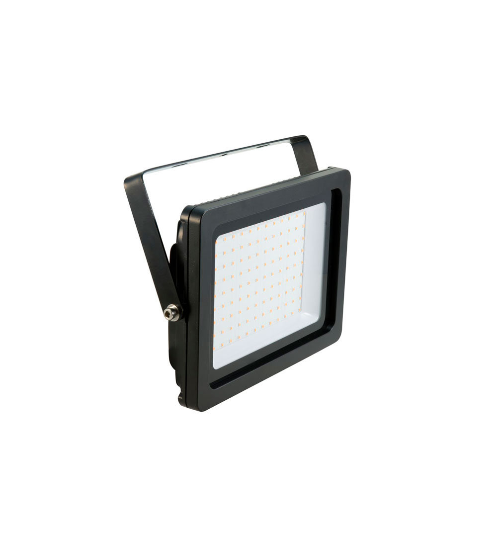 EUROLITE LED IP FL-100 SMD violett