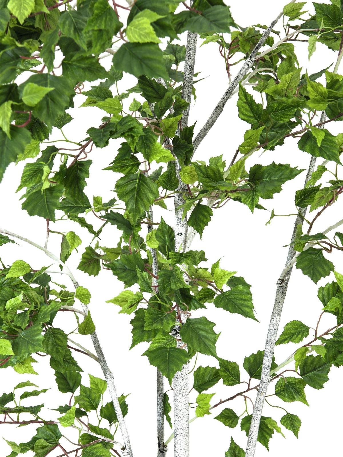 EUROPALMS Birkenbaum, Kunstpflanze, 210cm - Detailaufnahme