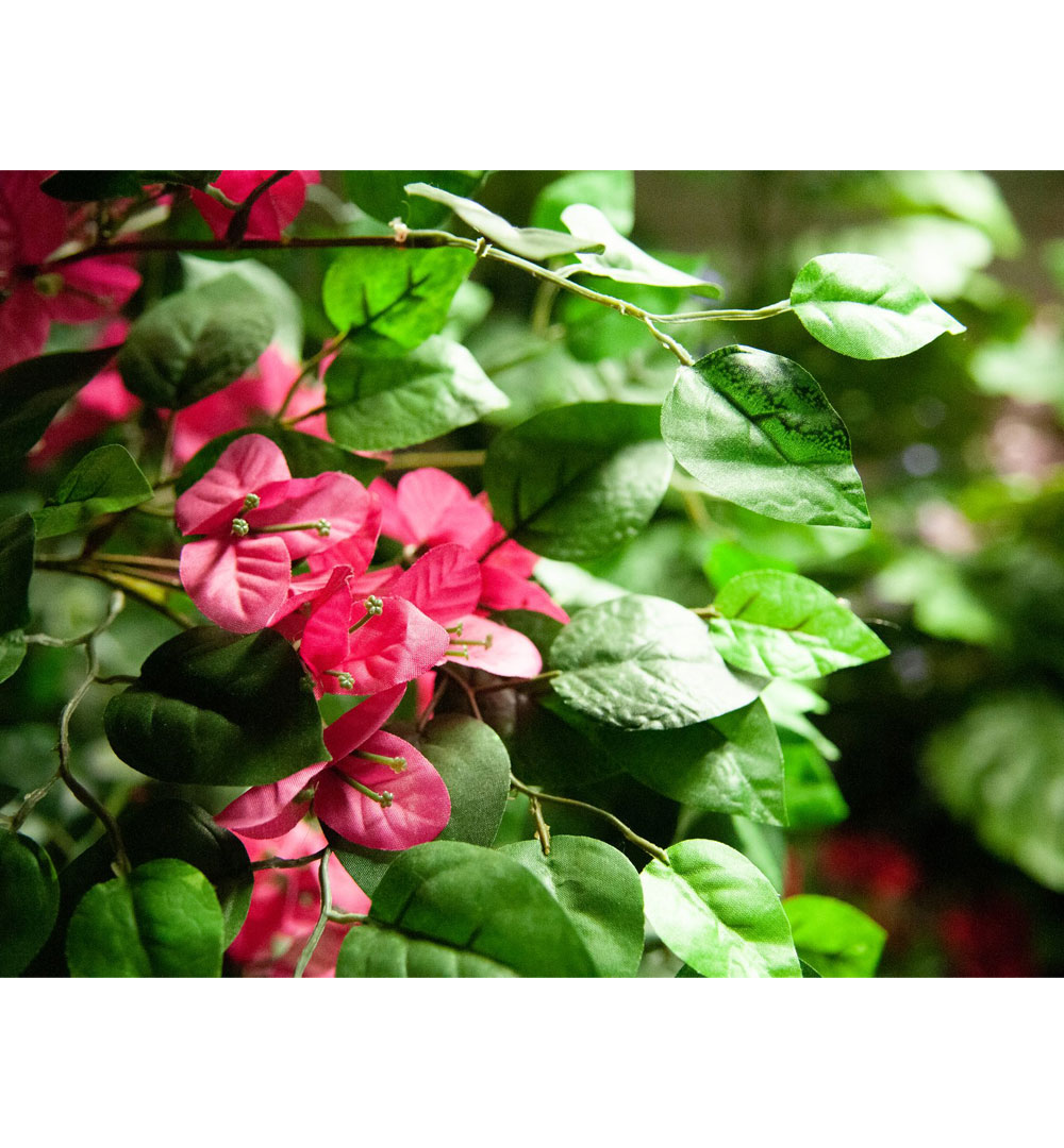 EUROPALMS Bougainvillea, Kunstpflanze, rosa, 150cm