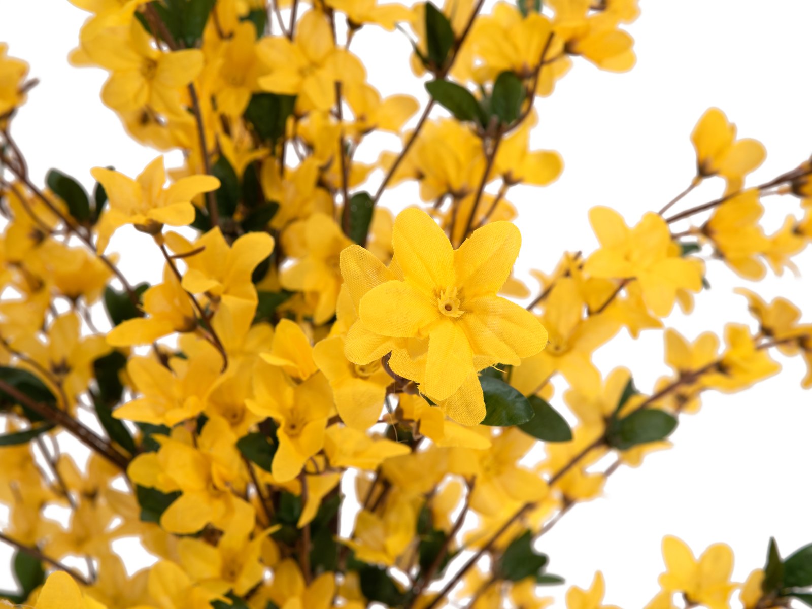 EUROPALMS Forsythienbaum mit 3 Stämmen, Kunstpflanze, gelb, 120cm - Blüten im Detail 
