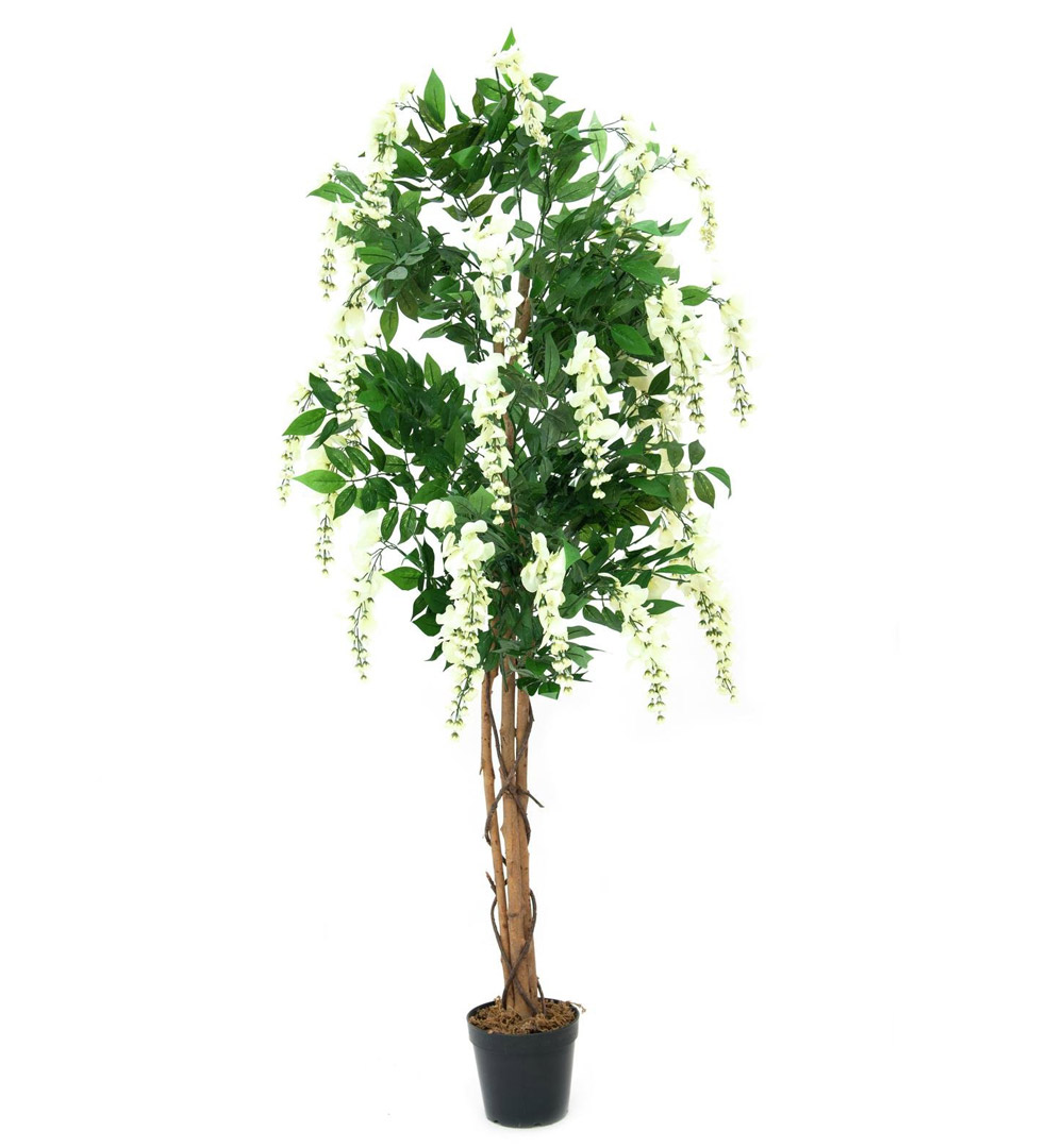 EUROPALMS Goldregenbaum, Kunstpflanze, weiß, 150cm