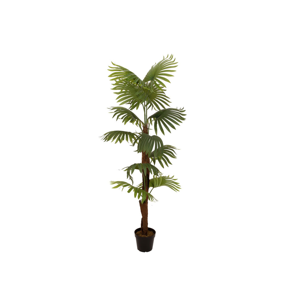 EUROPALMS Fächerpalme, Kunstpflanze, 155cm