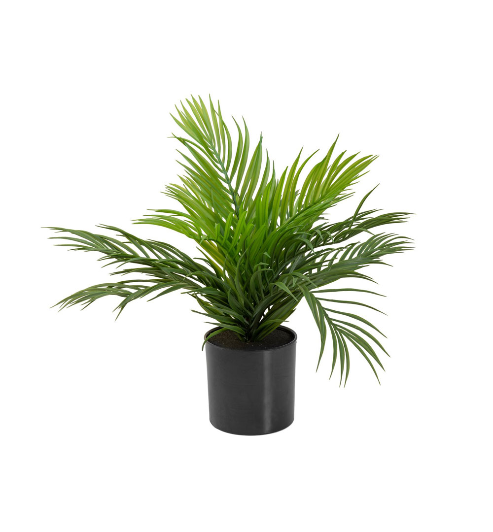 EUROPALMS Goldfruchtpalme, Kunstpflanze, 46 cm