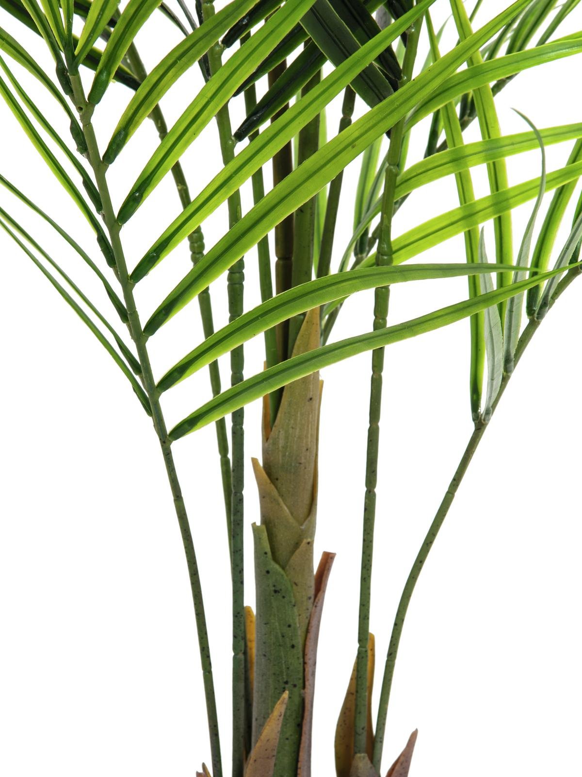 EUROPALMS Großblatt-Areca, Kunstpflanze, 165cm