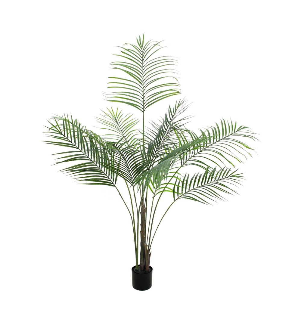 EUROPALMS Großblatt-Areca, Kunstpflanze, 185cm