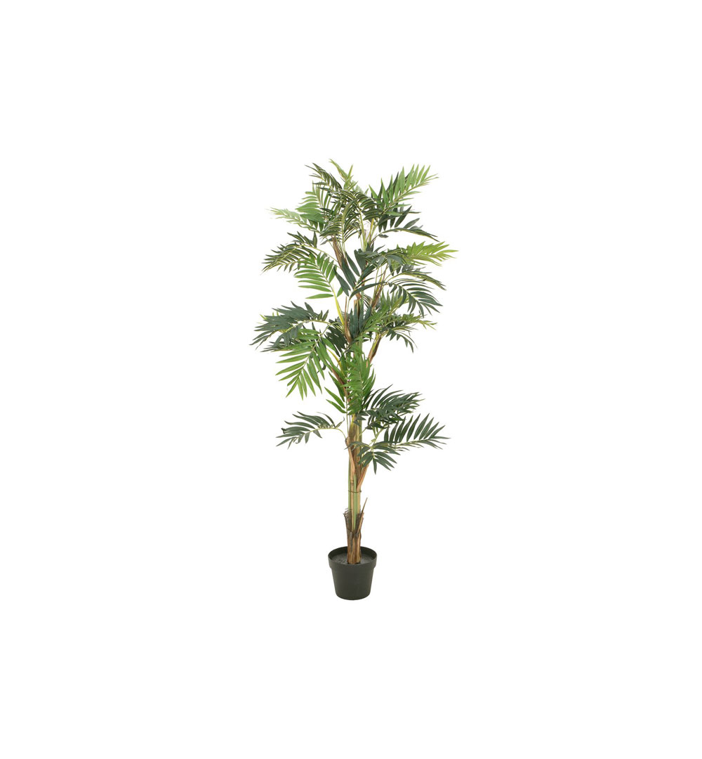 EUROPALMS Parlour Palme, Kunstpflanze, 150cm