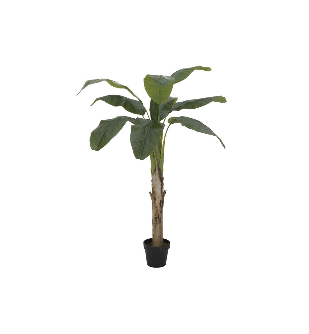 EUROPALMS Bananenbaum, Kunstpflanze, 145cm