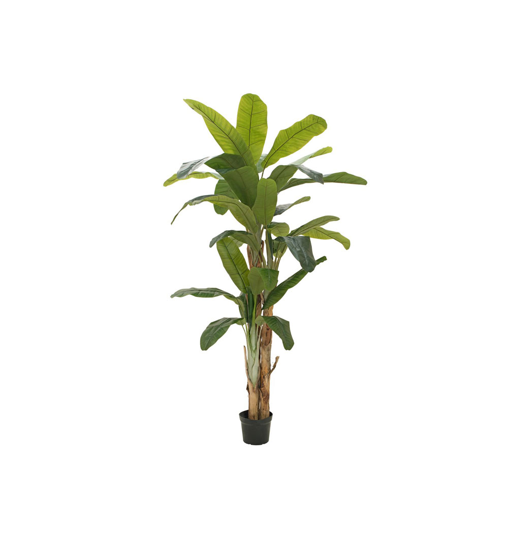 EUROPALMS Bananenbaum, Kunstpflanze, 240cm