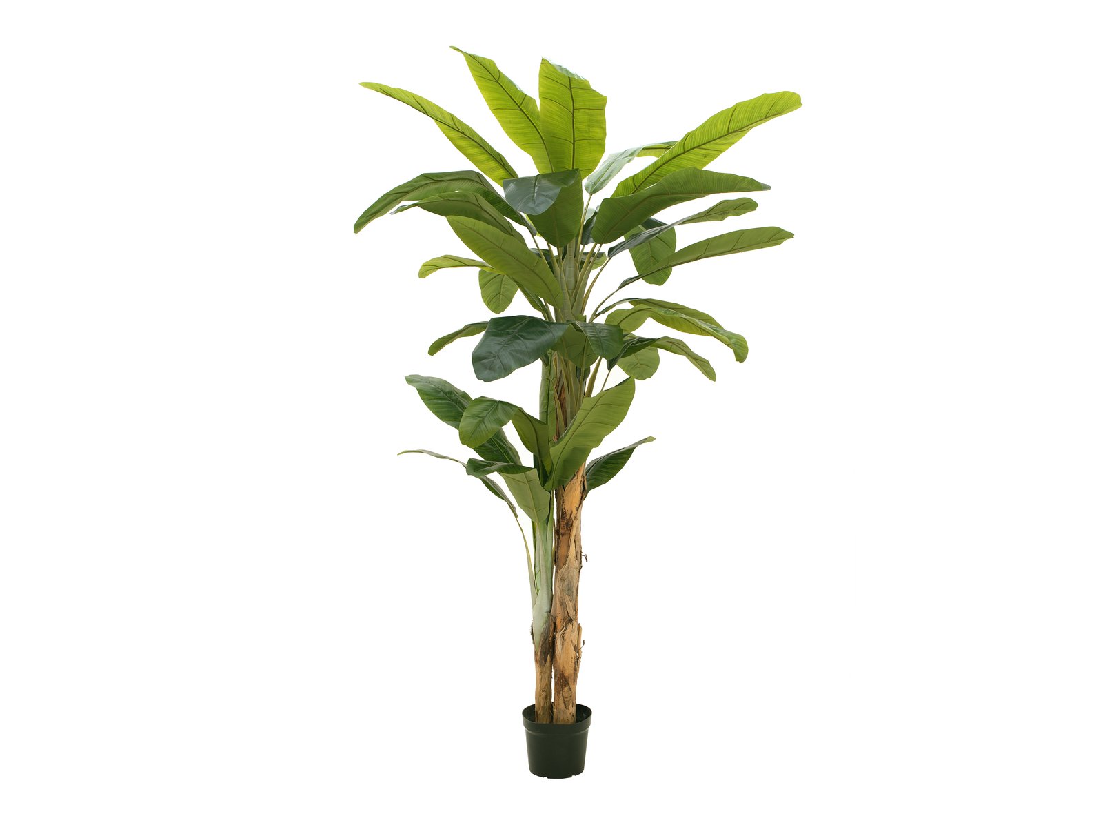 EUROPALMS Bananenbaum, Kunstpflanze, 240cm