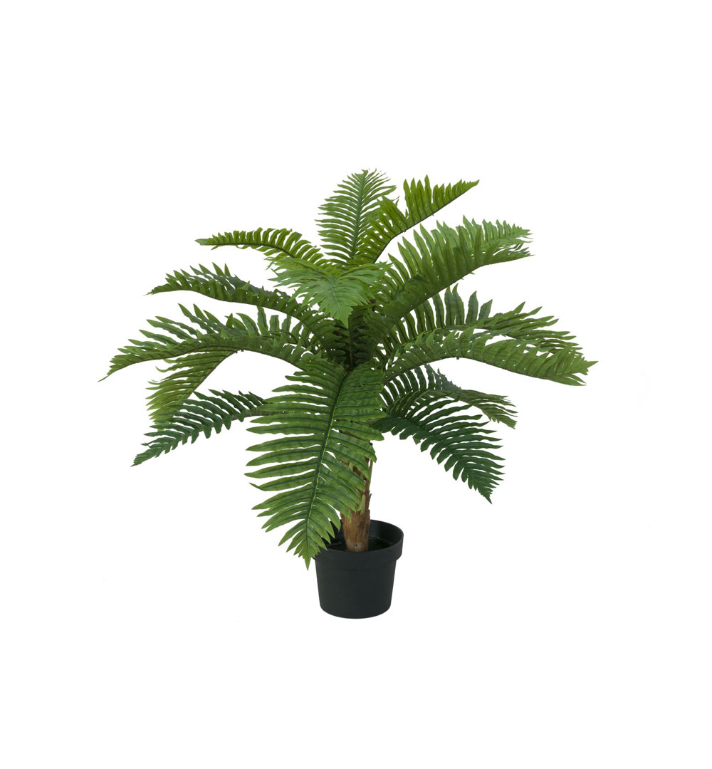 EUROPALMS Cycas Palme, Kunstpflanze, 70cm