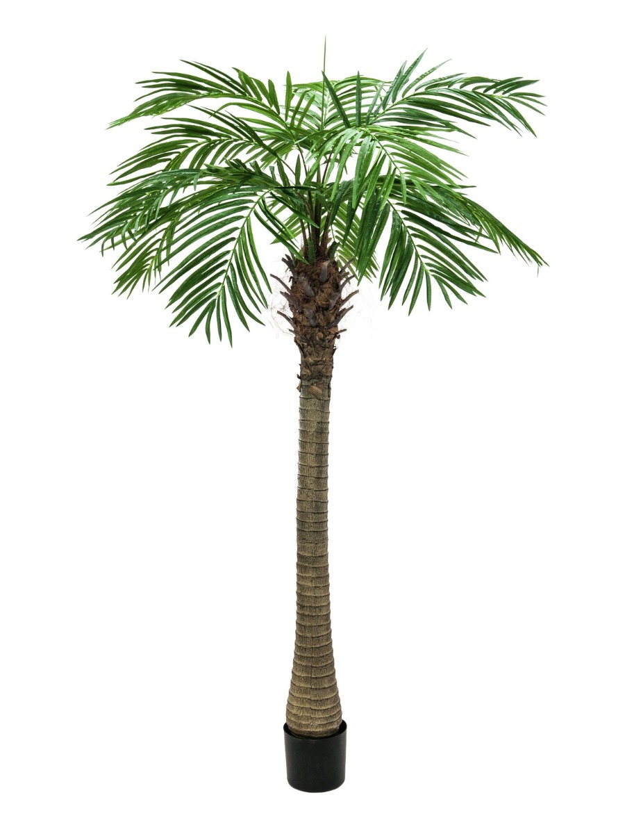 EUROPALMS Phönixpalme luxor, Kunstpflanze, 150cm