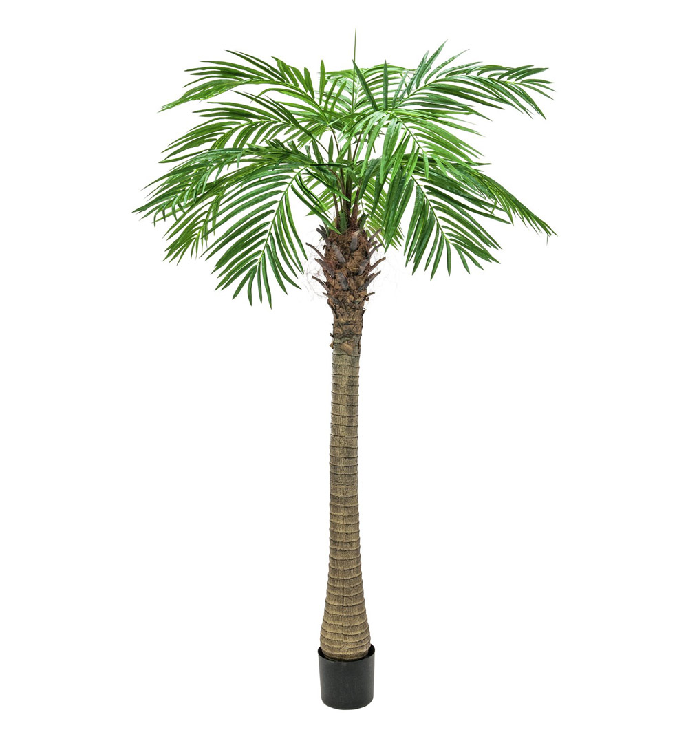 EUROPALMS Phönixpalme luxor, Kunstpflanze, 240cm