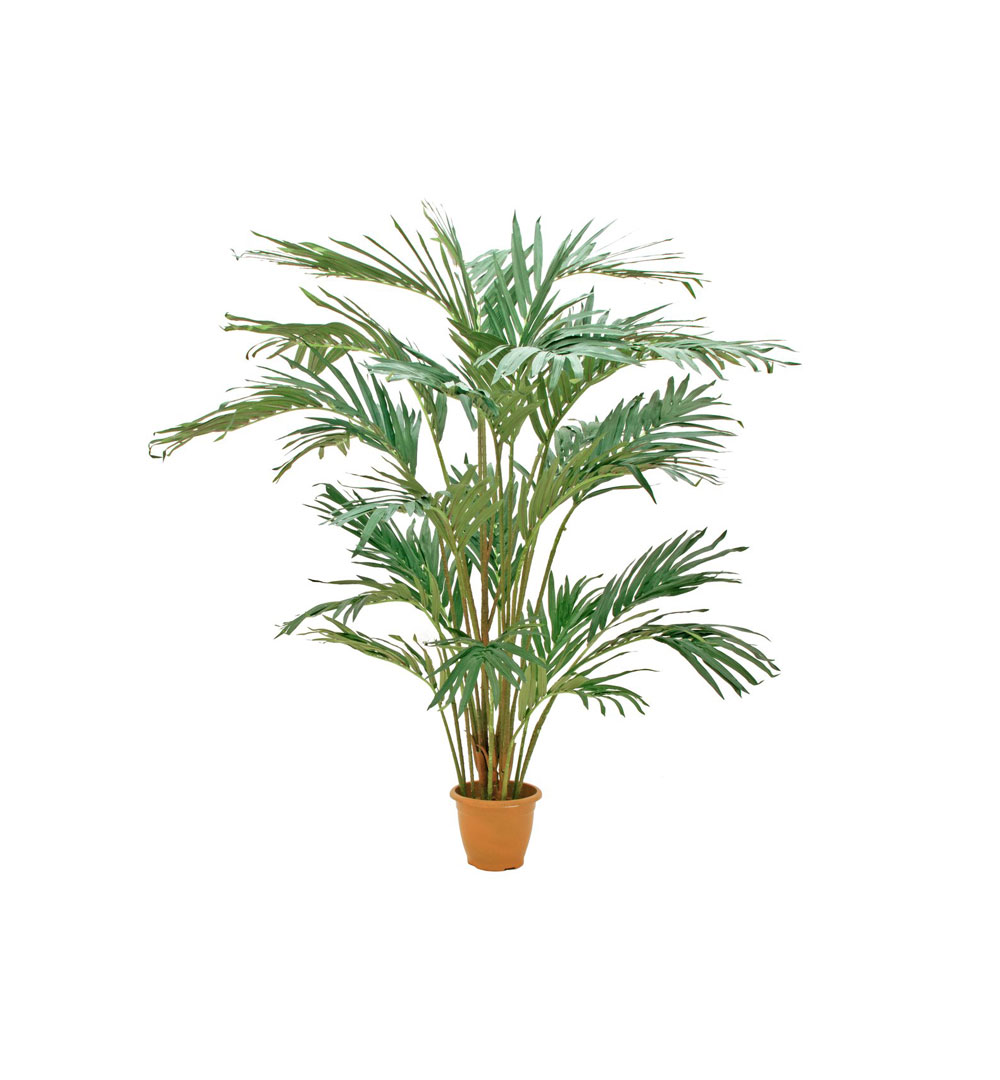 EUROPALMS Kanarische Dattelpalme, Kunstpflanze, 240cm