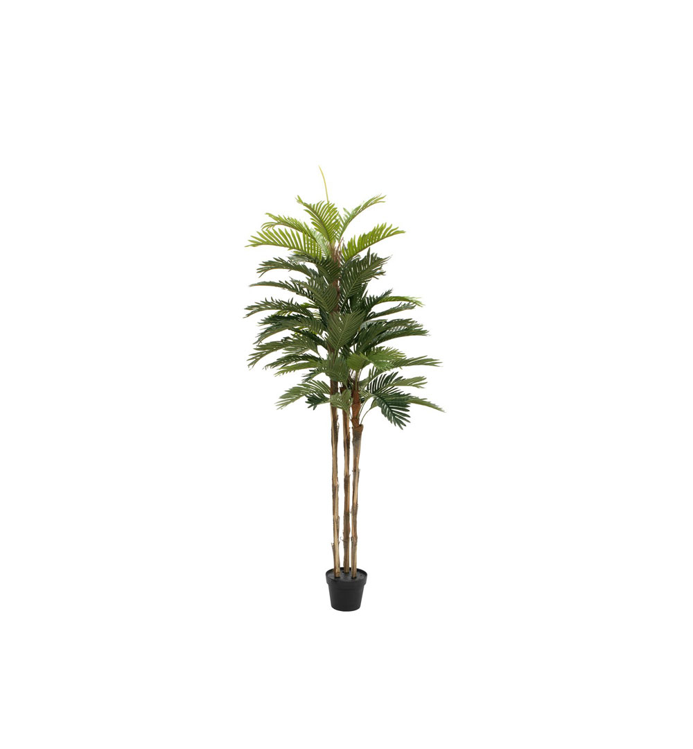 EUROPALMS Kentia Palme, Kunstpflanze, 150cm