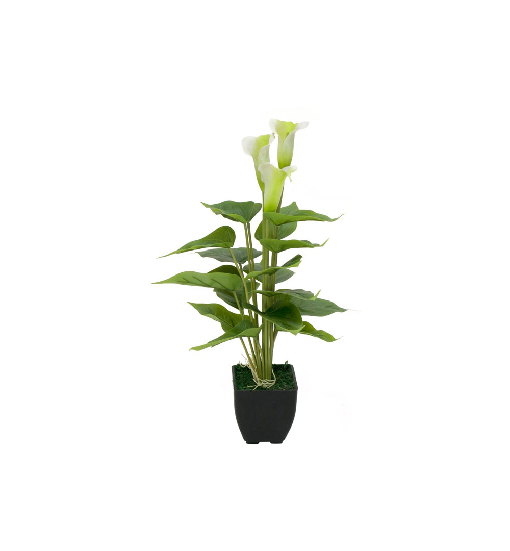 EUROPALMS Calla mini, Kunstpflanze, weiß, 43cm