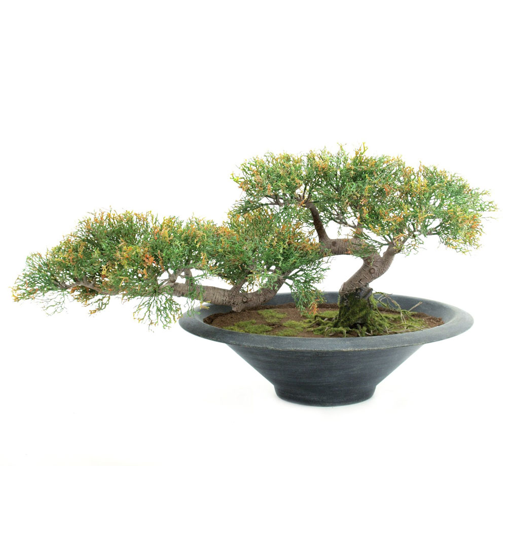 EUROPALMS Bonsai-Zeder, Kunstpflanze, 40cm