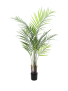 EUROPALMS Großblatt-Areca, Kunstpflanze, 125cm