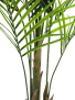 EUROPALMS Großblatt-Areca, Kunstpflanze, 165cm