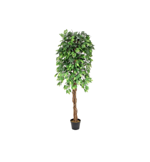 EUROPALMS Ficus-Benjamini Multi-Stamm, Kunstpflanze, 180cm