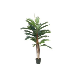 EUROPALMS Kentia Palme, Kunstpflanze, 120cm