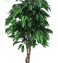 EUROPALMS Dschungelbaum Mango, Kunstpflanze, 180cm