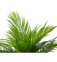 EUROPALMS Goldfruchtpalme, Kunstpflanze, 46 cm