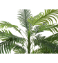 EUROPALMS Areca Palme, 3-stämmig, Kunstpflanze, 150cm