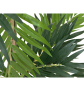 EUROPALMS Parlour Palme, Kunstpflanze, 150cm