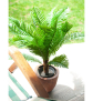 EUROPALMS Cycas Palme, Kunstpflanze, 70cm