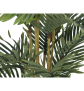 EUROPALMS Kentia Palme, Kunstpflanze, 140cm