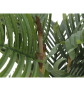 EUROPALMS Kentia Palme, Kunstpflanze, 140cm