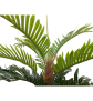 EUROPALMS Kentia Palme, Kunstpflanze, 150cm