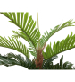 EUROPALMS Kentia Palme, Kunstpflanze, 180cm