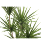 EUROPALMS Yucca Palme, Kunstpflanze, 130cm