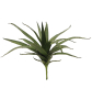 EUROPALMS Aloe (EVA), künstlich, grün, 50cm