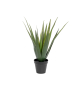 EUROPALMS Aloe-Vera Pflanze, Kunstpflanze, 60cm