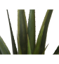 EUROPALMS Aloe-Vera Pflanze, Kunstpflanze, 60cm