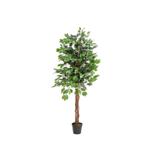 EUROPALMS Ficus-Benjamini Multi-Stamm, Kunstpflanze, 150cm