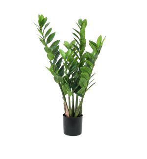 EUROPALMS Zamifolia, Kunstpflanze, 70cm