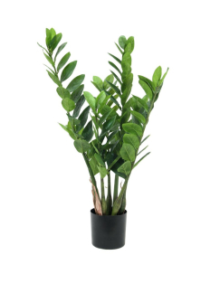 EUROPALMS Zamifolia, Kunstpflanze, 70cm